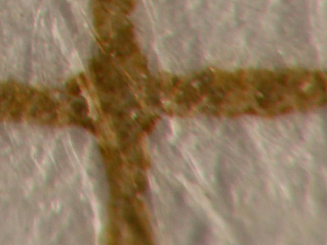 Analyse aberration chromatique Raynox CM-3500 bonnette 24X (zoom 100%)